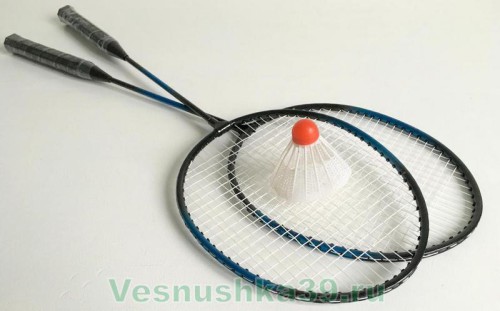 badminton-v-setke (2)